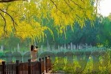 91夫妇麻豆精品-高质量情深之选，91夫妇与麻豆精品的动人故事