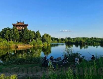 麻豆传媒免费视频网站-剖析数字媒体时代下的免费非难全之追求 —— 对麻豆传媒免费视频网站的反思性剖析