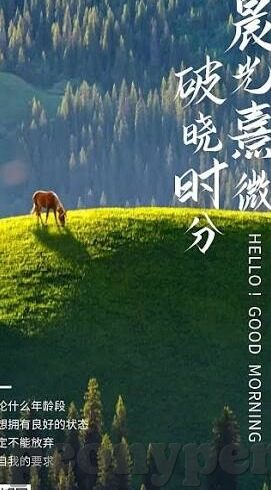 麻豆大菠萝福建天美传媒-麻豆大菠萝与福建天美传媒，探索影视与文化的完美交融