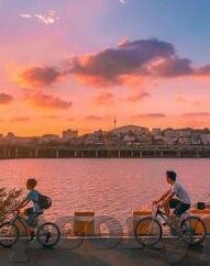麻豆视频破解版-麻豆视频的探秘之旅，无风险浏览的智慧选择