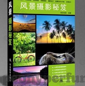 糖心app官网兑换码-聚焦网络新宠，糖心app解锁与兑换码的奥秘