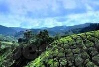 糖心vlog新入口-详细探知糖心Vlog新入口的奇妙旅程